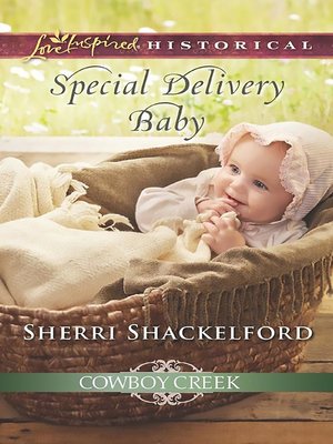cover image of Special Delivery Baby